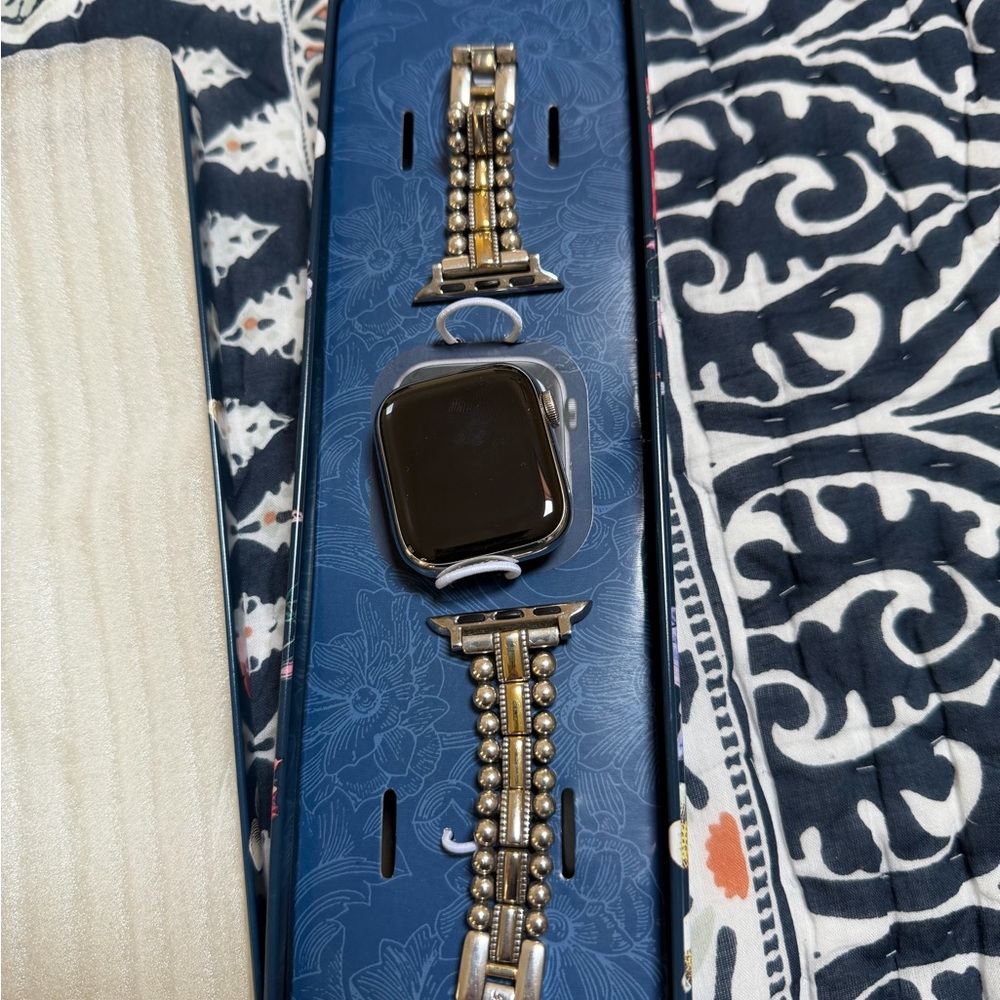 Apple Watch Series 9 Stainless Steel 41mm + 6 Bands(3 Brighton!)GPS and Cellular